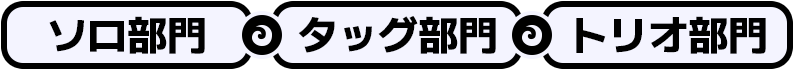 ソロ部門、タッグ部門